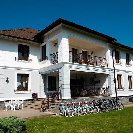 Conacul Dante Hotel Pianu de Jos Luaran gambar