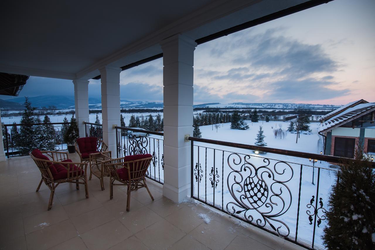 Conacul Dante Hotel Pianu de Jos Luaran gambar
