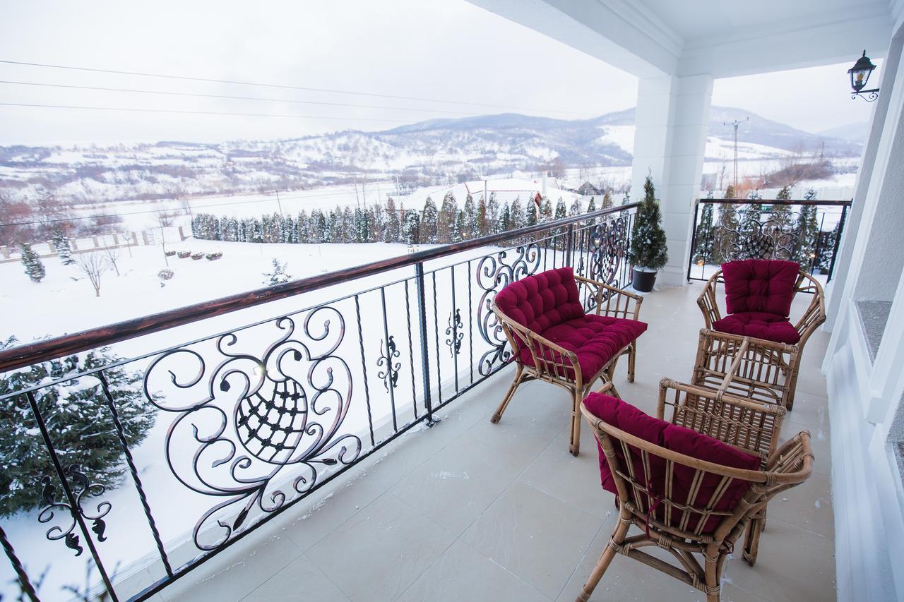 Conacul Dante Hotel Pianu de Jos Luaran gambar