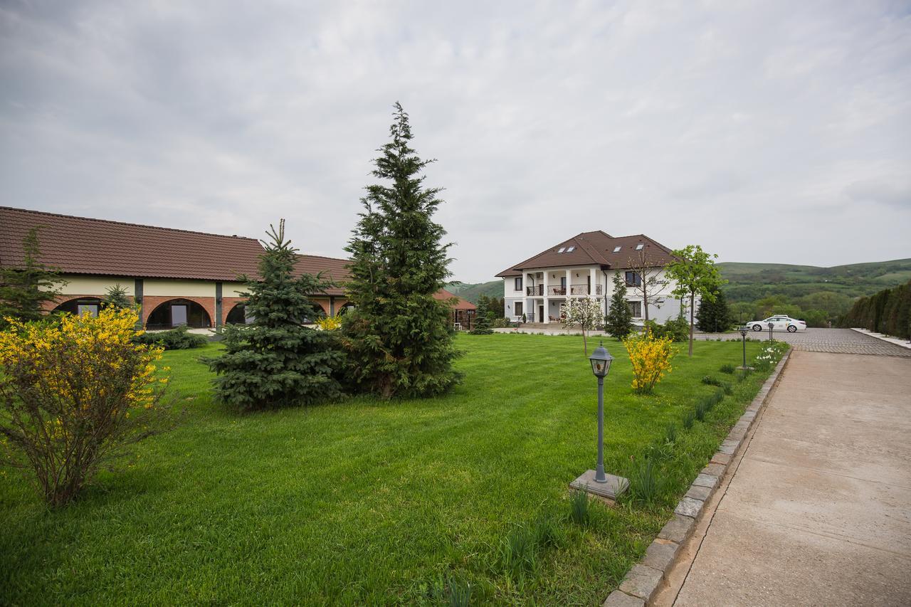 Conacul Dante Hotel Pianu de Jos Luaran gambar