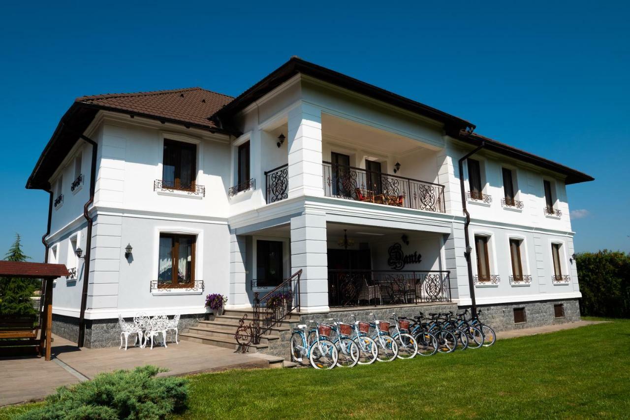 Conacul Dante Hotel Pianu de Jos Luaran gambar